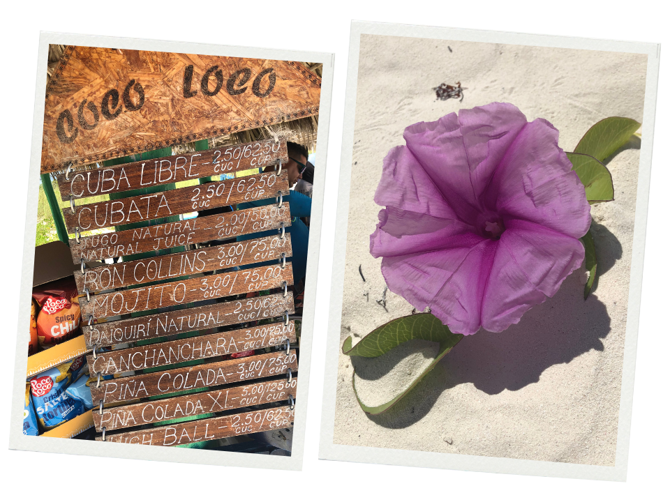 How to spend two weeks relaxing in Cayo Guillermo, Cuba.