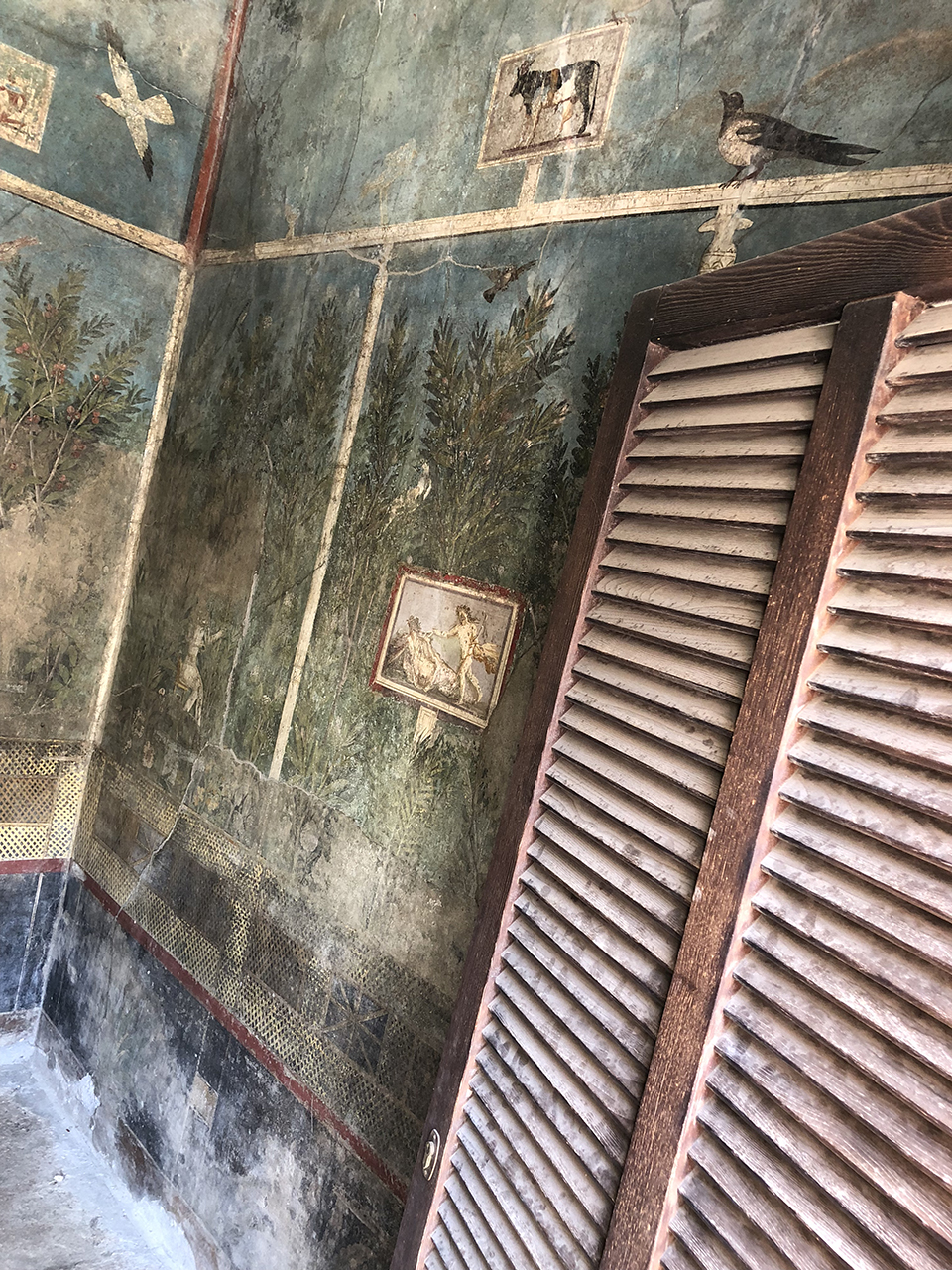 Beautiful frescos. How to visit the ancient city of Pompeii and Mount Vesuvius.