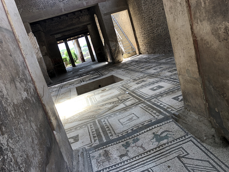 Pompeii's famous mosaic floor and dog.