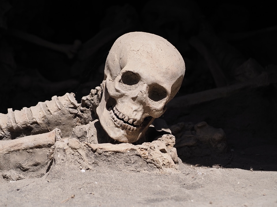 The skeletons of Herculaneum.