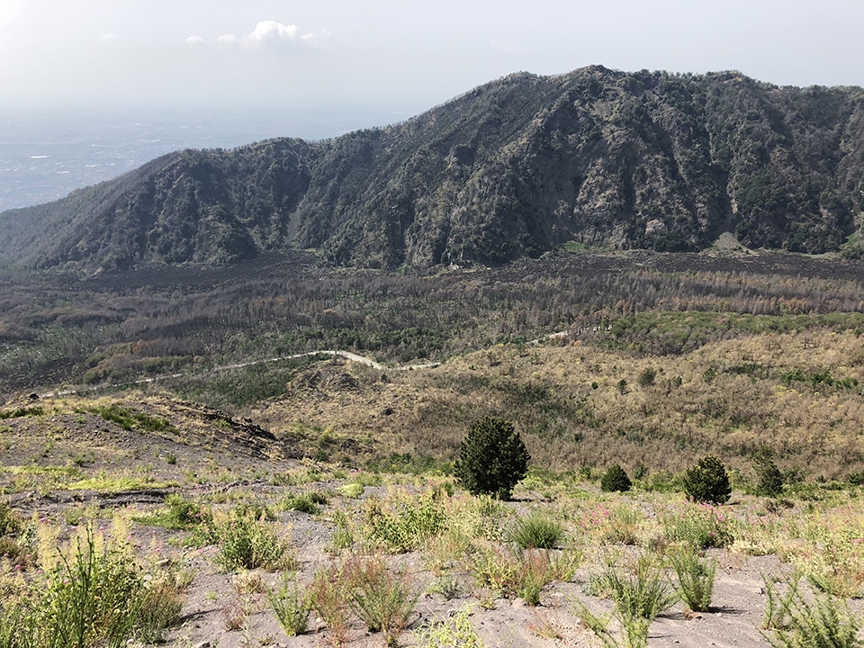 Visiting Mount Vesuvius from Naples.