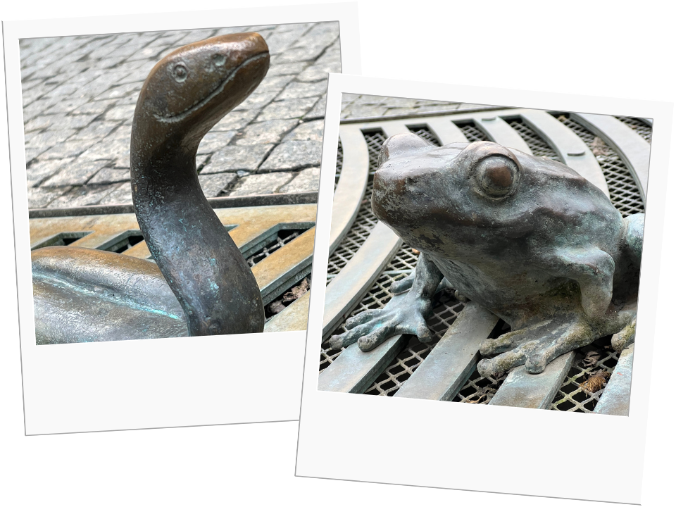 The frog fountain of Brno.