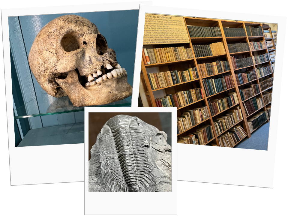 Ultimate guide to Brno's hidden gems, Czechia.